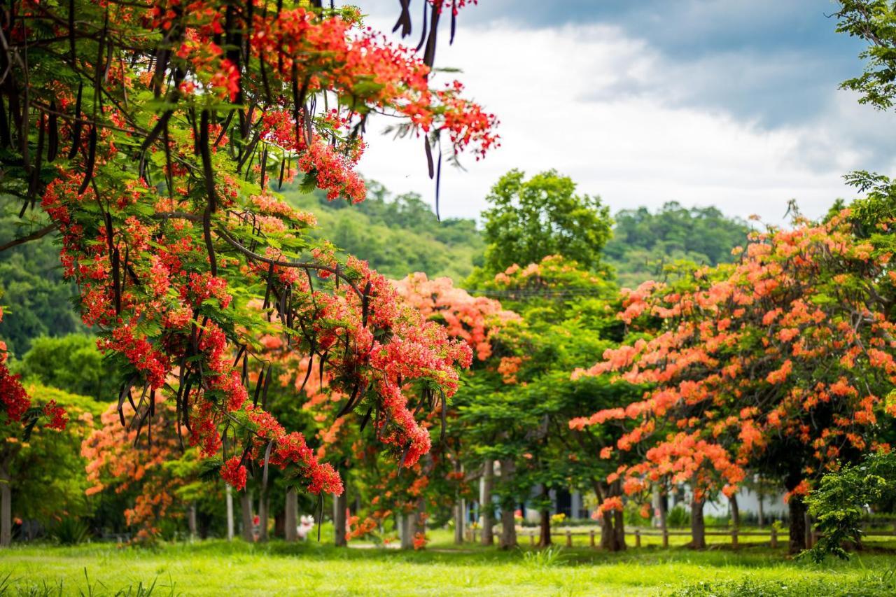 Diamond Hill Resort Nongnamdeng Kültér fotó